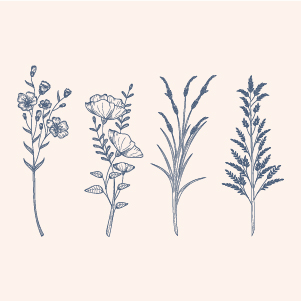 products-img